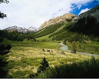 《怪物猎人：荒野》MOD 禁用镜头失真画面更清晰